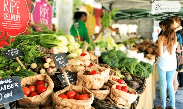 food shopping in dubai