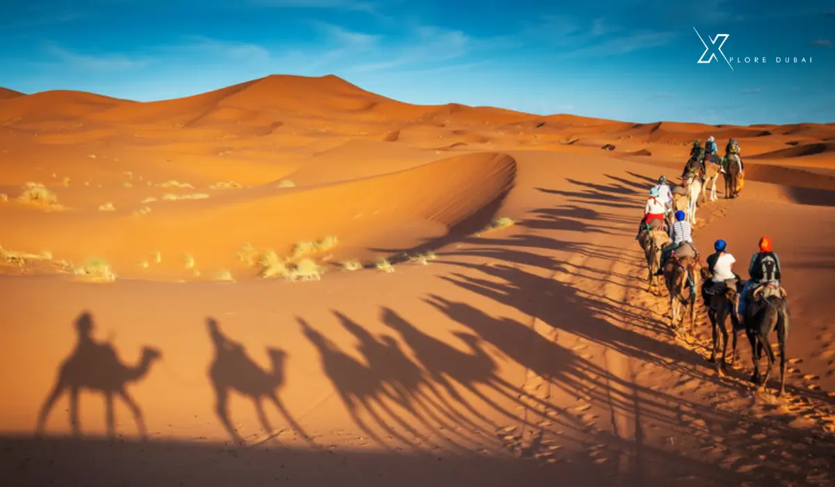 Best Time of Year for Dubai Desert Safari