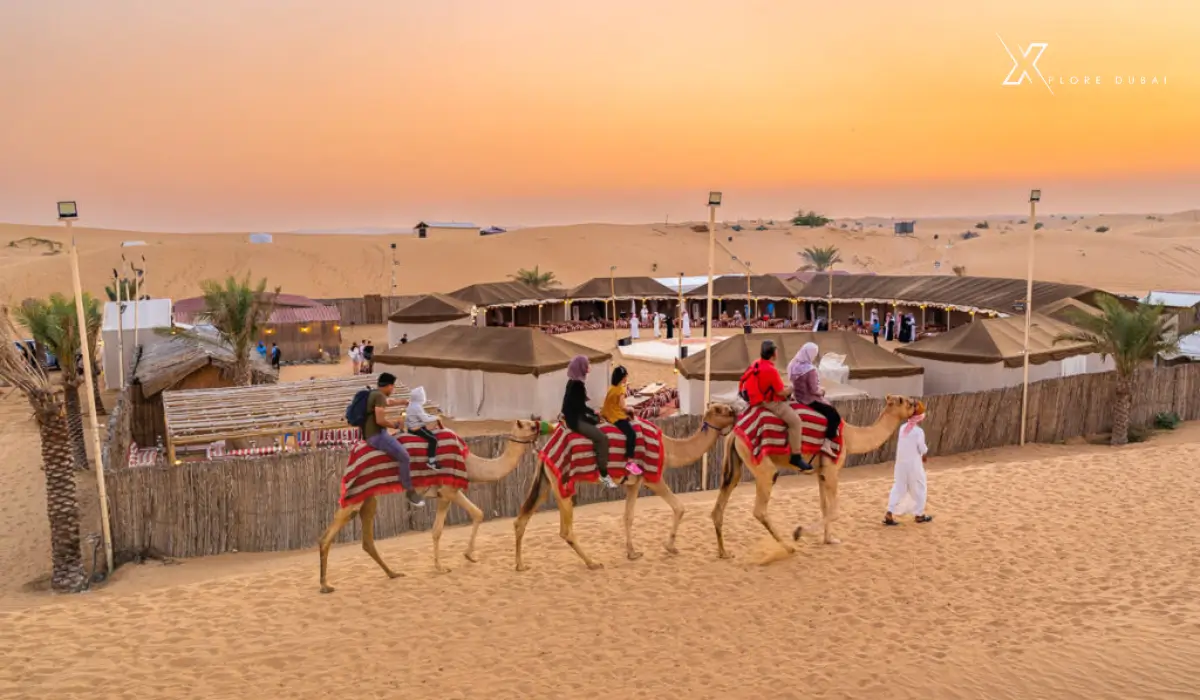 Dubai Desert Safari Tour Timings