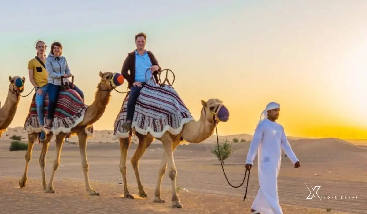 Morning Desert Safari Timings in Dubai