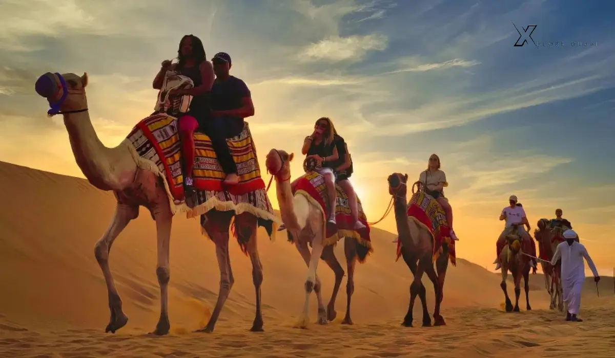 Dubai desert safari private tours