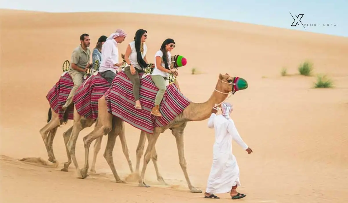 Private vs. Group Desert Safari Timings
