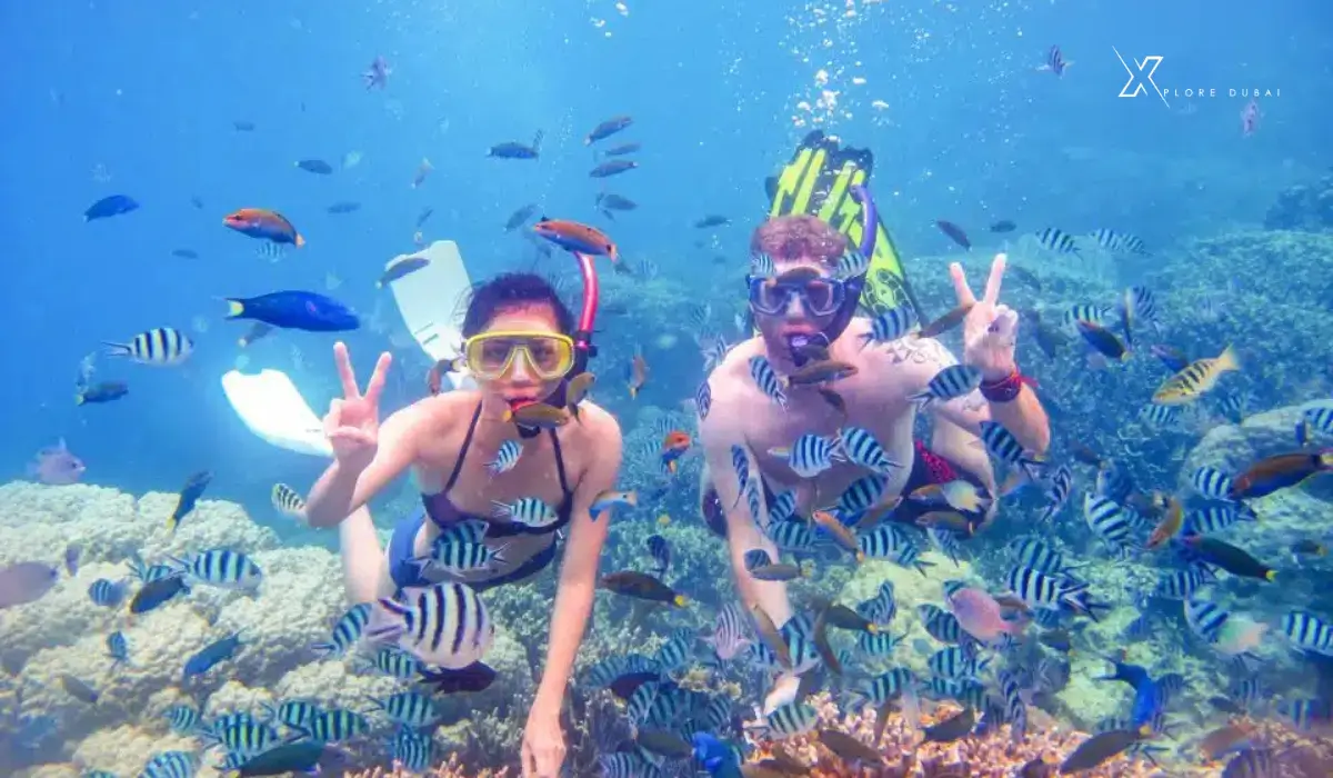 water-sport-activities-in-Dubai