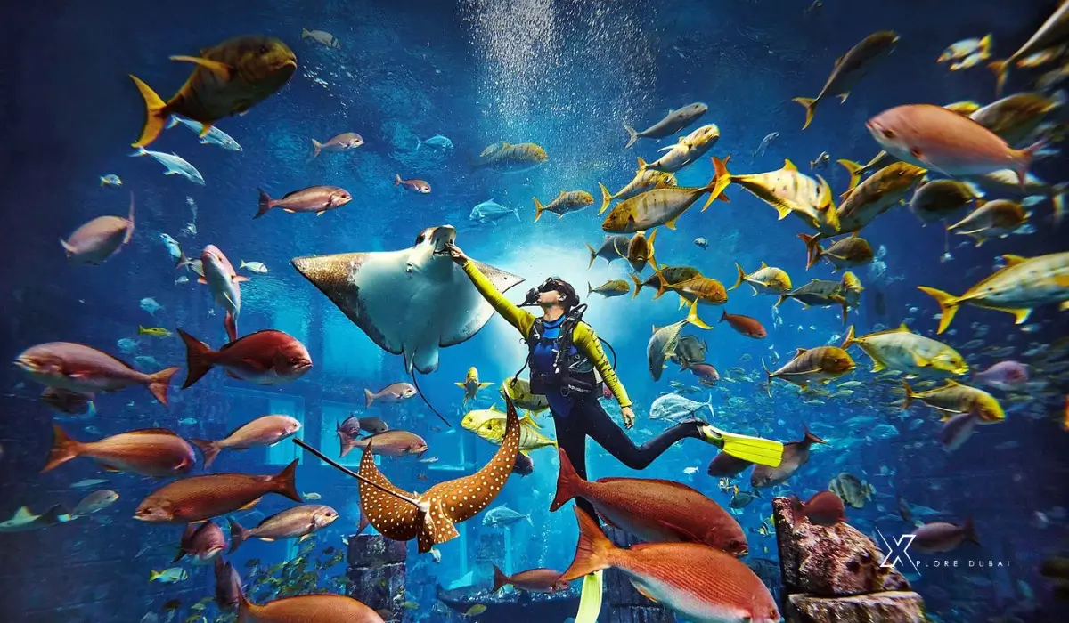 water-sport-activities-in-Dubai