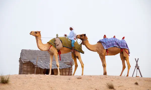 Dubai Cultural Gems